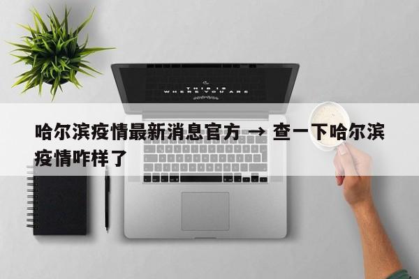 哈尔滨疫情最新消息官方 → 查一下哈尔滨疫情咋样了