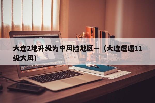 大连2地升级为中风险地区—（大连遭遇11级大风）