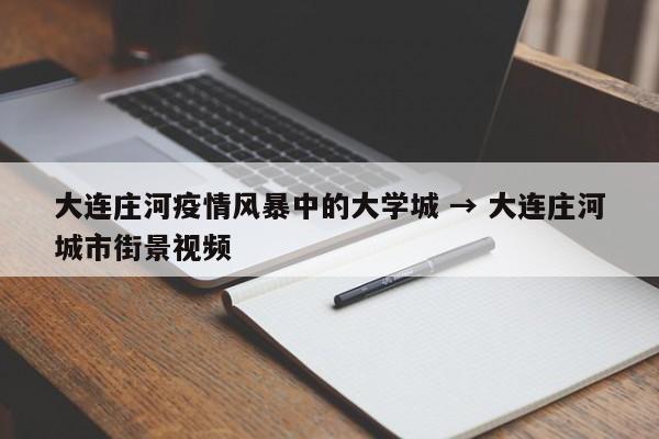 大连庄河疫情风暴中的大学城 → 大连庄河城市街景视频