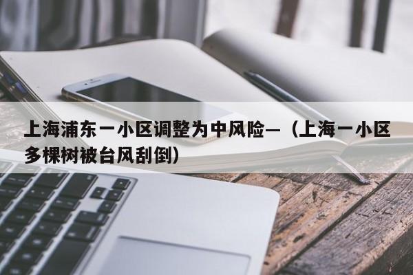 上海浦东一小区调整为中风险—（上海一小区多棵树被台风刮倒）