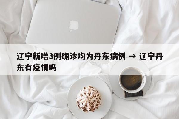 辽宁新增3例确诊均为丹东病例 → 辽宁丹东有疫情吗